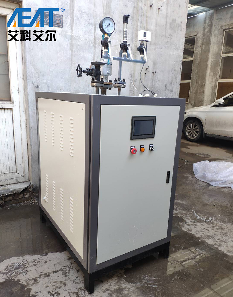 电热蒸汽发生器